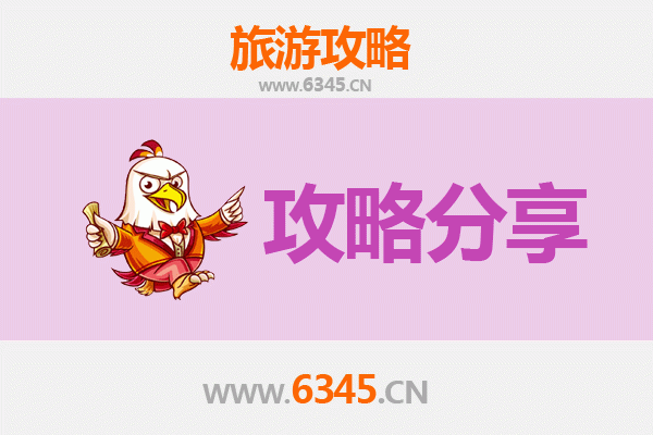 自贡自流井旅游攻略：跟团与自由行深度对比